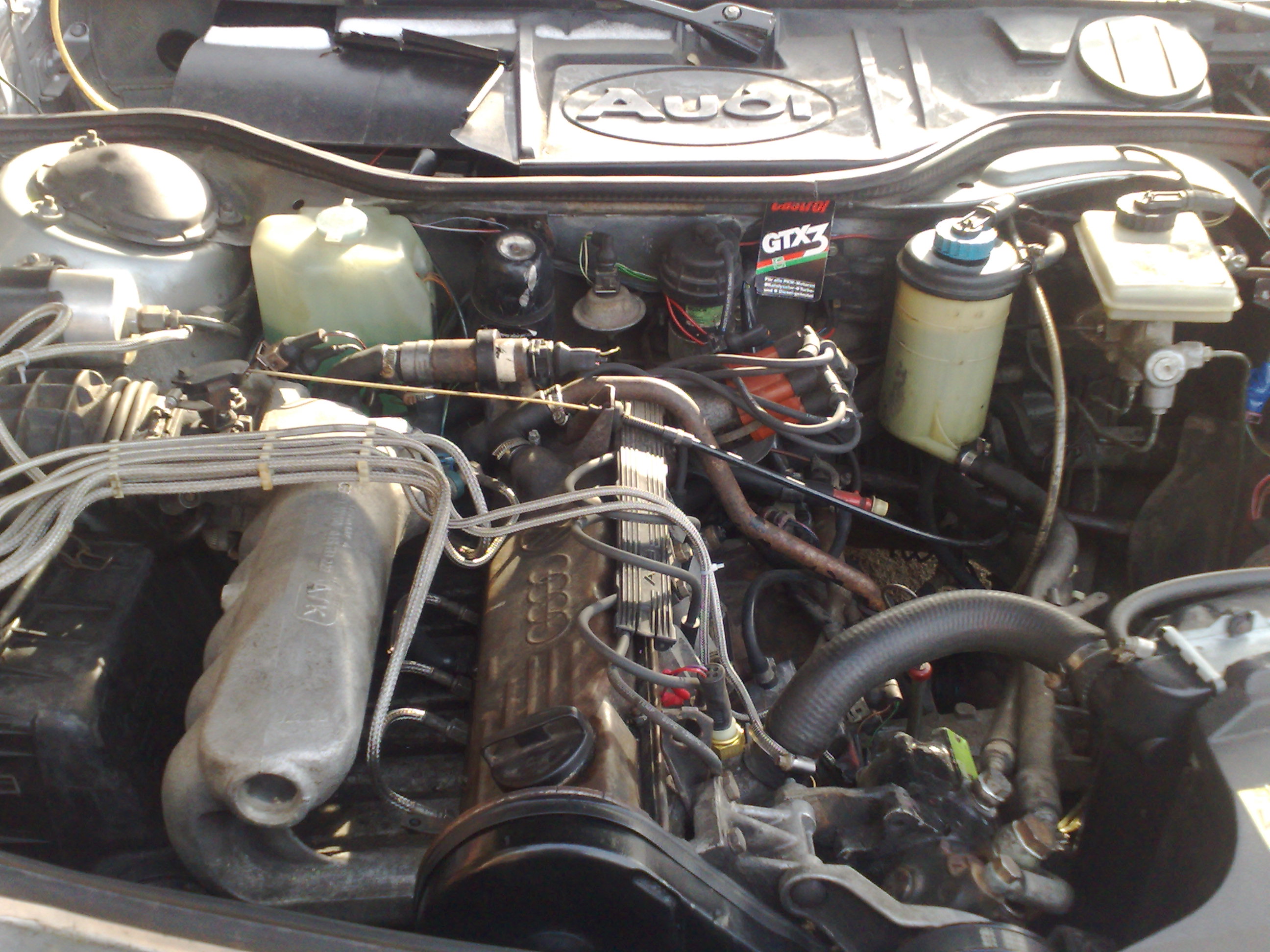 Motor